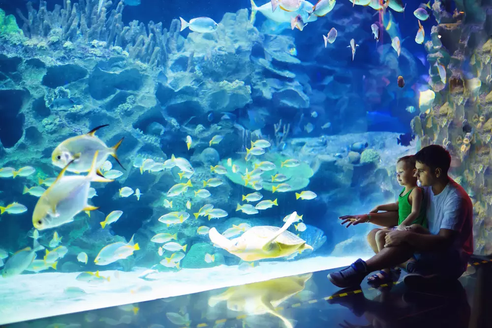 Father and son at an aquarium.