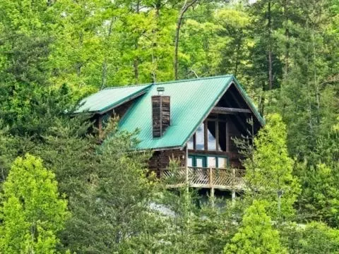 Cabin hidden in the trees
