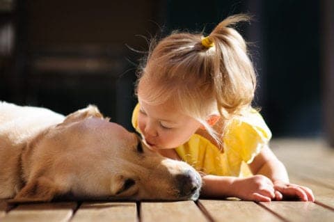 Little girl kissing a dog on the deck of a cabin
